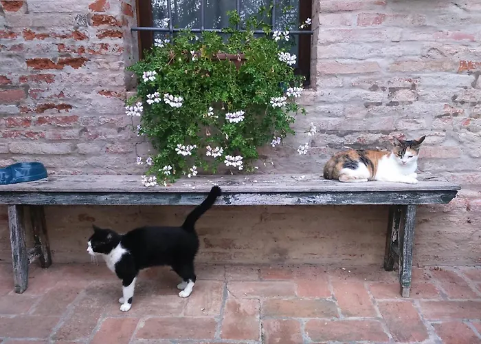 Corte Di Maggio B&B